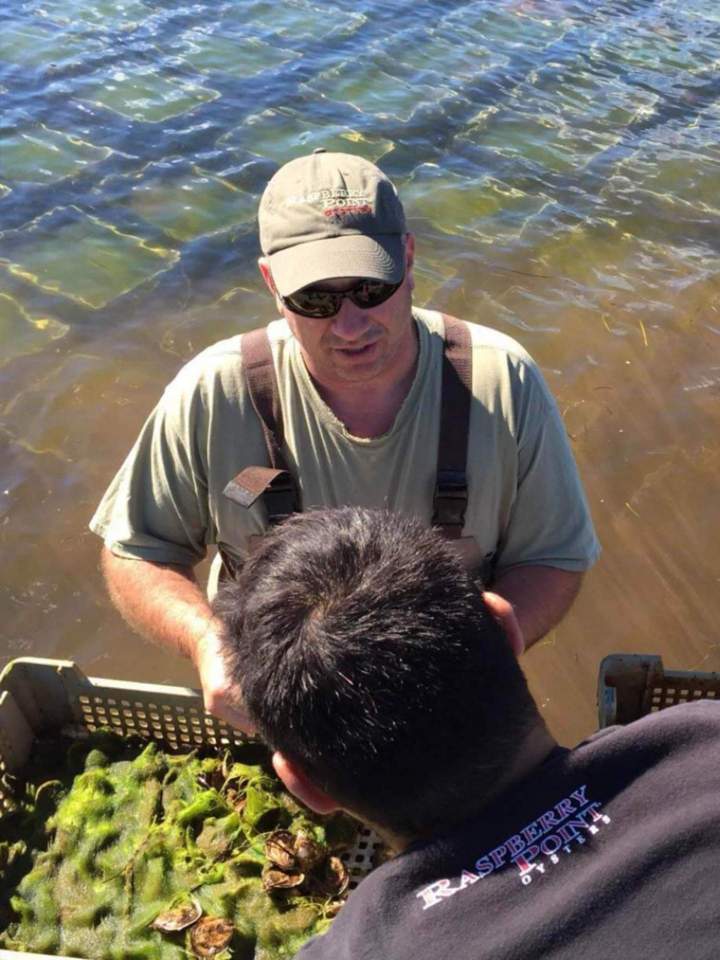 Every year, we pay a visit to our immediate shellfish suppliers to assess the grading quality of the oysters we buy. With over 30 years of experience in the business, our top priority is excellent product quality and consistency.