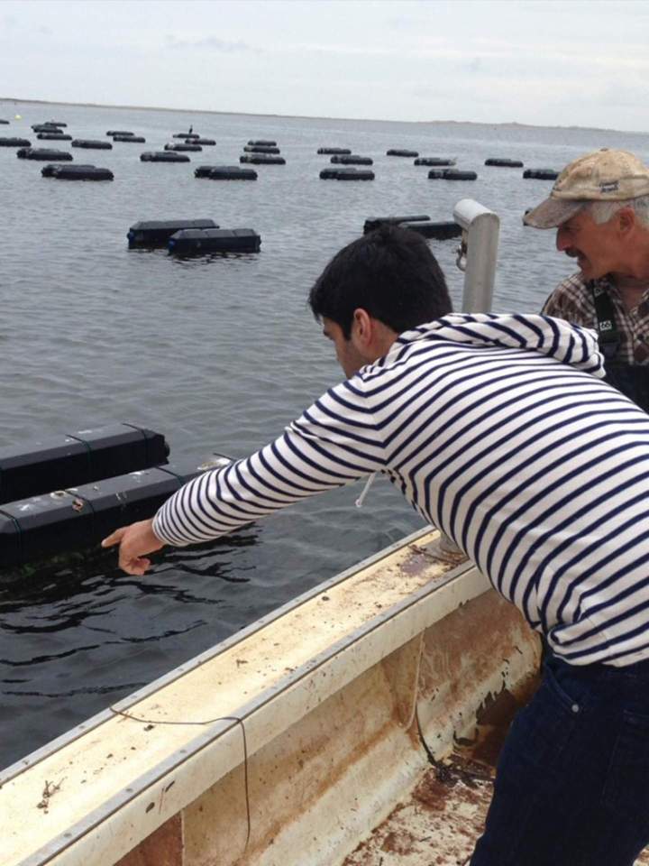 Product selection and oyster grading are key parameters to consider for year-round purchases. We systematically check the size and type of all oysters before they leave our warehouse.